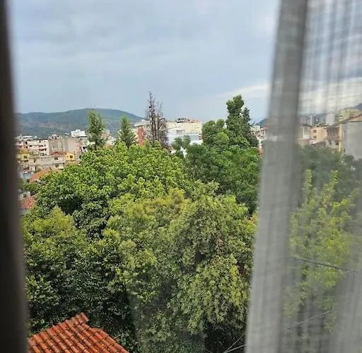 El Sunset * 爱尔巴桑